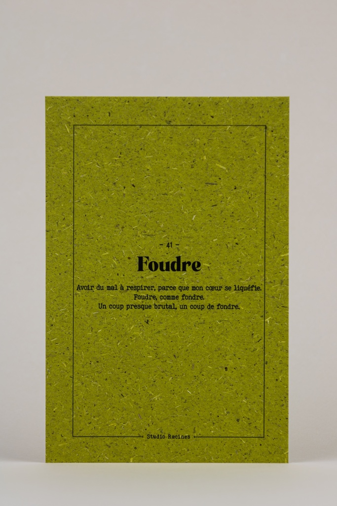 FOUDRE